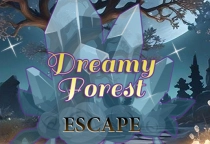 Dreamy Forest Escape