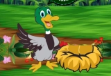 Play Duck Collect Stolen Eggs Play Duck Collect Stolen Eggs