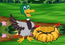 Duck Collect Stolen Eggs