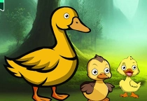 Duck Family Reach Pond