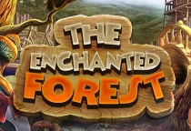 Enchanted Forest