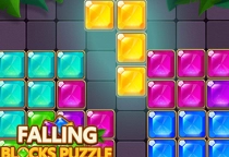 Falling Blocks Puzzle