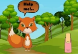 Feed Starving Innocent Fox