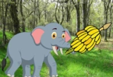 Feed The Little Elephant