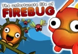 Firebug