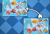Fisch Unterschiede