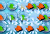 Fish in Trouble