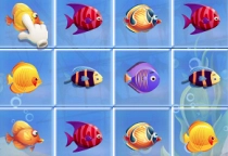 Fishing Puzzles