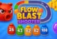 Flow Blast Shooter