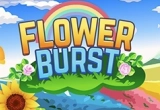 Flower Burst