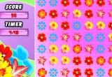 Play Flower Frenzy