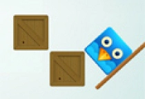Fly the Birdie