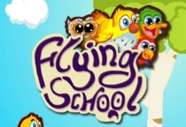 Flying School