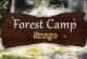 Forest Camp Escape