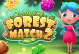 Forest Match 2