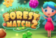 Forest Match 2