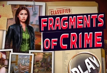 Fragments of Crime