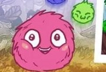 Frizzle Fraz 5