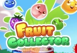 Fruit Collector