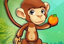 Fruit Monkey