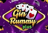 Gin Rummy Plus