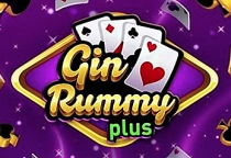 Gin Rummy Plus