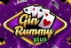 Gin Rummy Plus