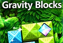 Gravity Blocks