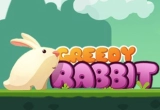 Greedy Rabbit