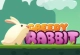 Greedy Rabbit