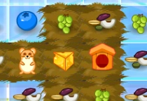 Hamster Lost In Food