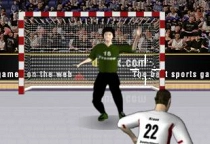 Handball WM 2015