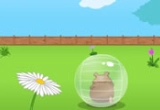 Play Harry the Hamster 3