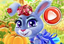 Hase pflegen
