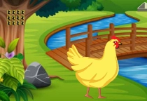 Help Hen To Release Chick