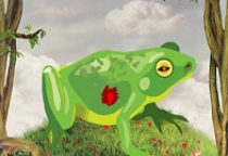 Help The Troubled Frog