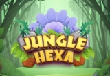 Hexa Jungle