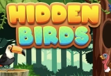 Hidden Birds