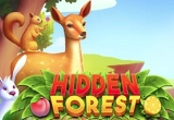 Hidden Forest