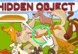 Hidden Object