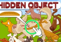 Hidden Object