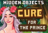 Hidden Object Prince