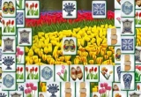 Play Holland Mahjong