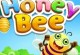 Honey Bee