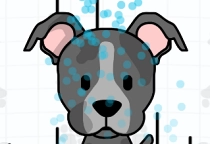 Hundesalon