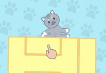 I like Cats