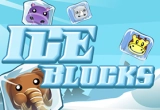 Ice Blocks