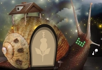 Illusionist Snail Forest Escape