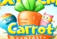 Carrot Fantasy 4