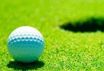 Casual Mini Golf